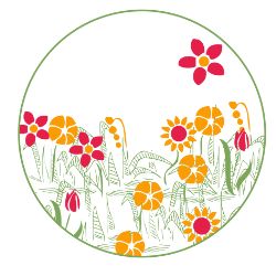 box-jardinage-fleurs-melliferes experience faire pousser des fleurs mellifères